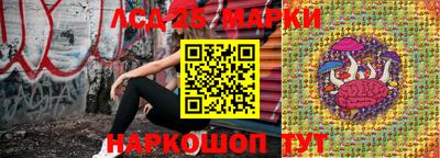 apvp Краснодар