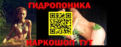 apvp Краснодар