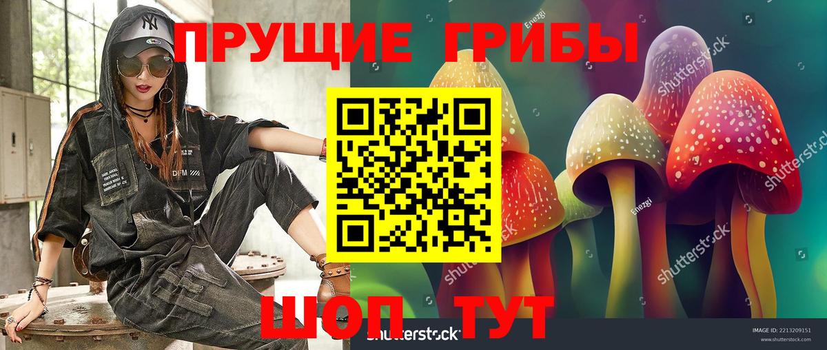 Всеволожск  Галлюциногенные грибы мицелий  Вход с VPN 